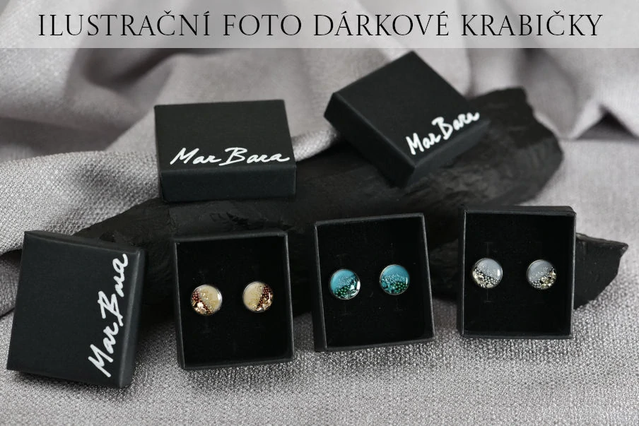 Stříbrné náušnice s kamínky, kolo